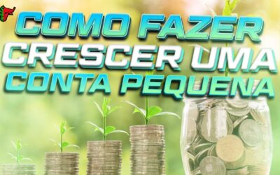 Dicas para fazer crescer uma conta pequena de Forex – Portugal Forex