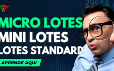 Lotes, Micro-lotes e Mini Lotes – Portugal Forex