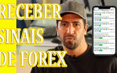 Receber Sinais de Forex faz de mim um Trader? – Forex em Portugal